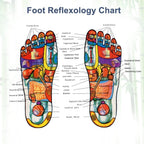 Detox Foot Patch (Pack of 20)